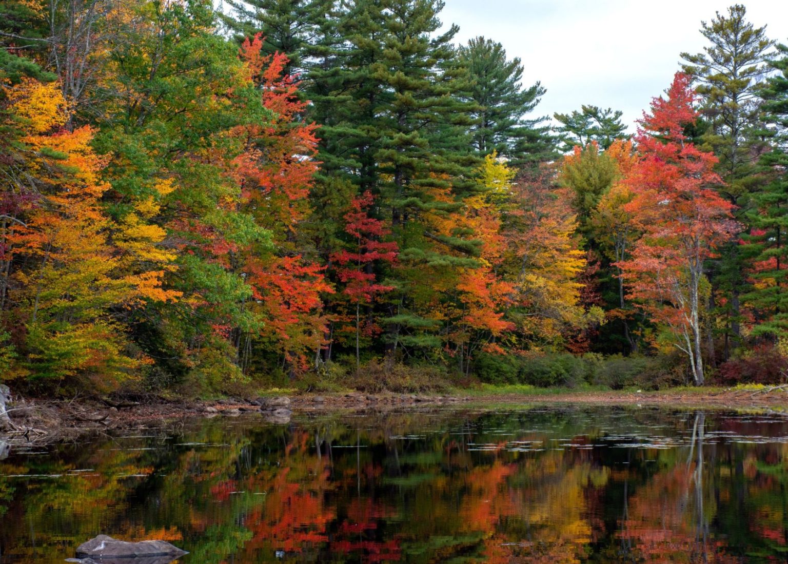 5 Different Ways to See the Sebago Lake Region Fall Foliage